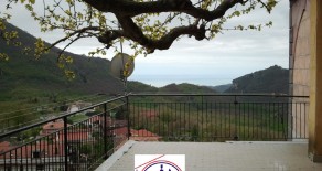 CASTIGLIONE del GENOVESI