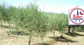 CAPACCIO